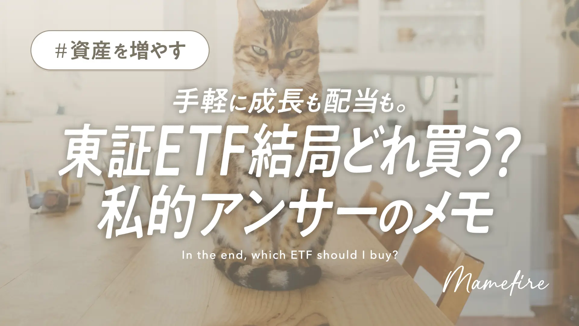 【東証ETF】結局どれ買う？一覧比較＆私的アンサーのメモ（株式2024年5月版）｜副業ブログと投資で資産形成。豊かに穏やかに自分業FIREして暮らす日々を目指すブログ「まめFIRE」