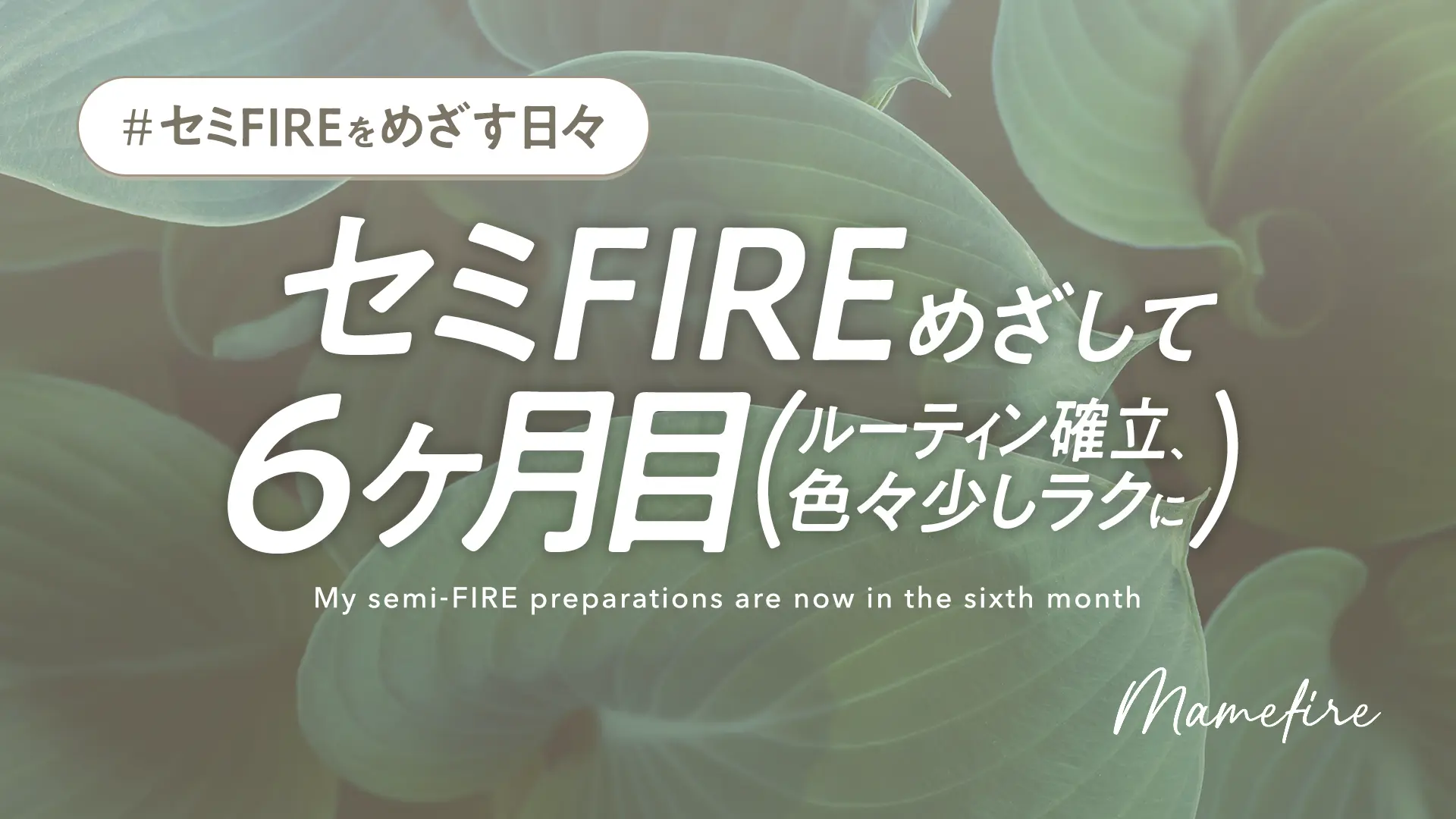 セミFIREめざして 6ヶ月目。ルーティン確立、色々少しラクに｜副業ブログと投資で資産形成。豊かに穏やかに自分業FIREして暮らす日々を目指すブログ「まめFIRE」